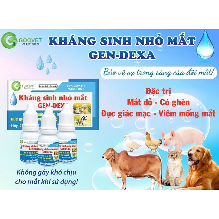 Nhỏ mắt chó mèo GEN-DEXA an toàn khỏi đau mắt chính hãng công ty GOOVET