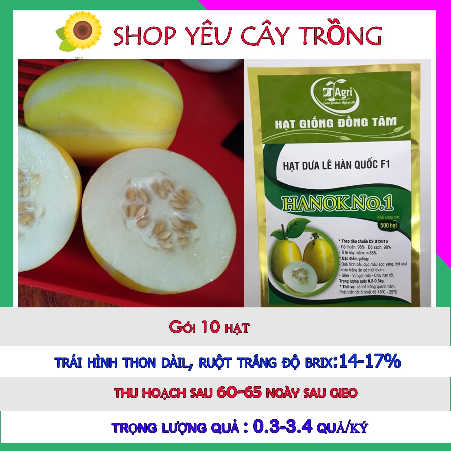 Hạt giống dưa lê hàn quốc Hanok No1 siêu ngọt thơm sai quả gói 10 hạt