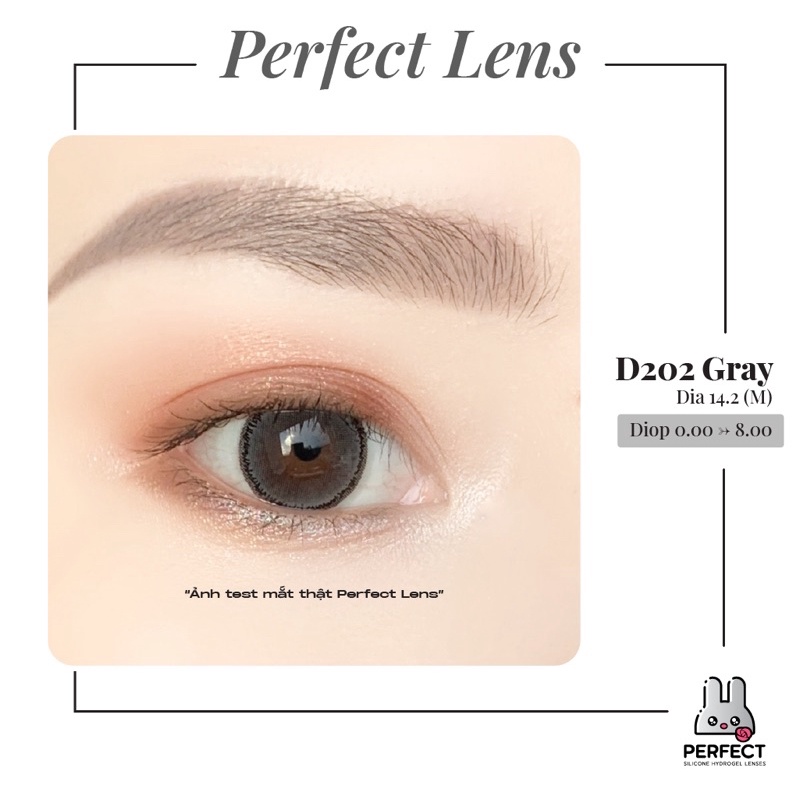 Lens Mắt , Kính Áp Tròng D202 GRAY Có Độ Cận và Không Độ , DIA 14.2 ,Cho Mắt Nhạy Cảm Giá Sale