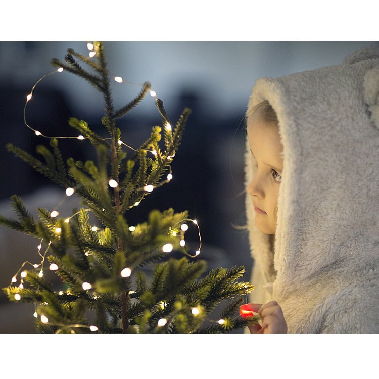 Đèn Led Đom Đóm Đèn Fairy Light dài 5m Trang Trí Dùng Pin Tiểu AA, Giáng Sinh Noel, Tết, Năm mới