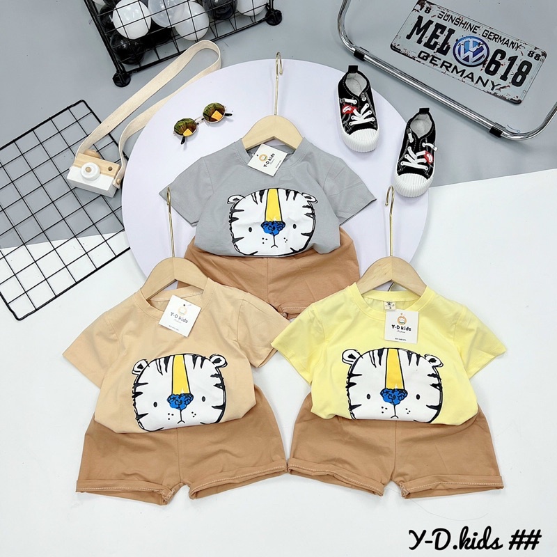 Bộ sư tử cotton tàu mềm đẹp
