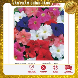 Hạt giống Hoa Dạ Yến Thảo Mix 100 Hạt [Bán Sỉ]