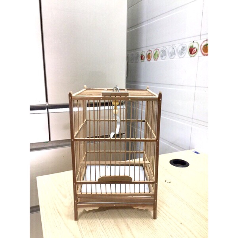 [HOT] Lồng Khuyên Trúc ( đầy đủ phụ kiện) tặng kèm cóng ăn