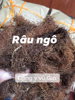 Râu ngô râu bắp