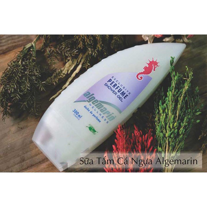 Sữa tắm cá ngựa algemarin perfume shower gel 300ml siêu thơm - KD0044