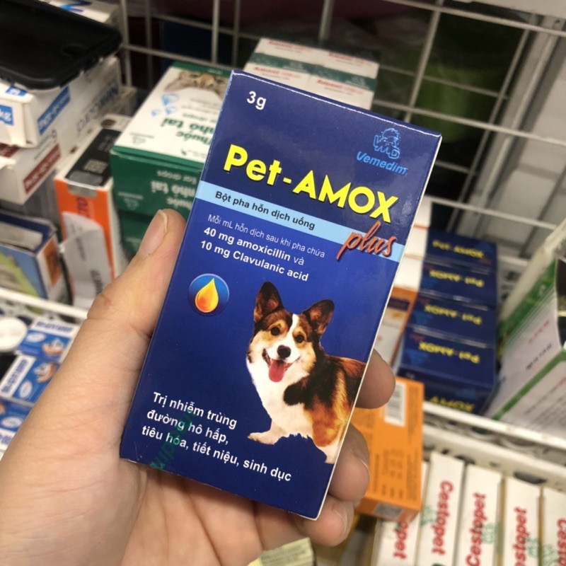 Dung dịch uống Pet Amox hỗ trợ hô hấp, tiêu hoá