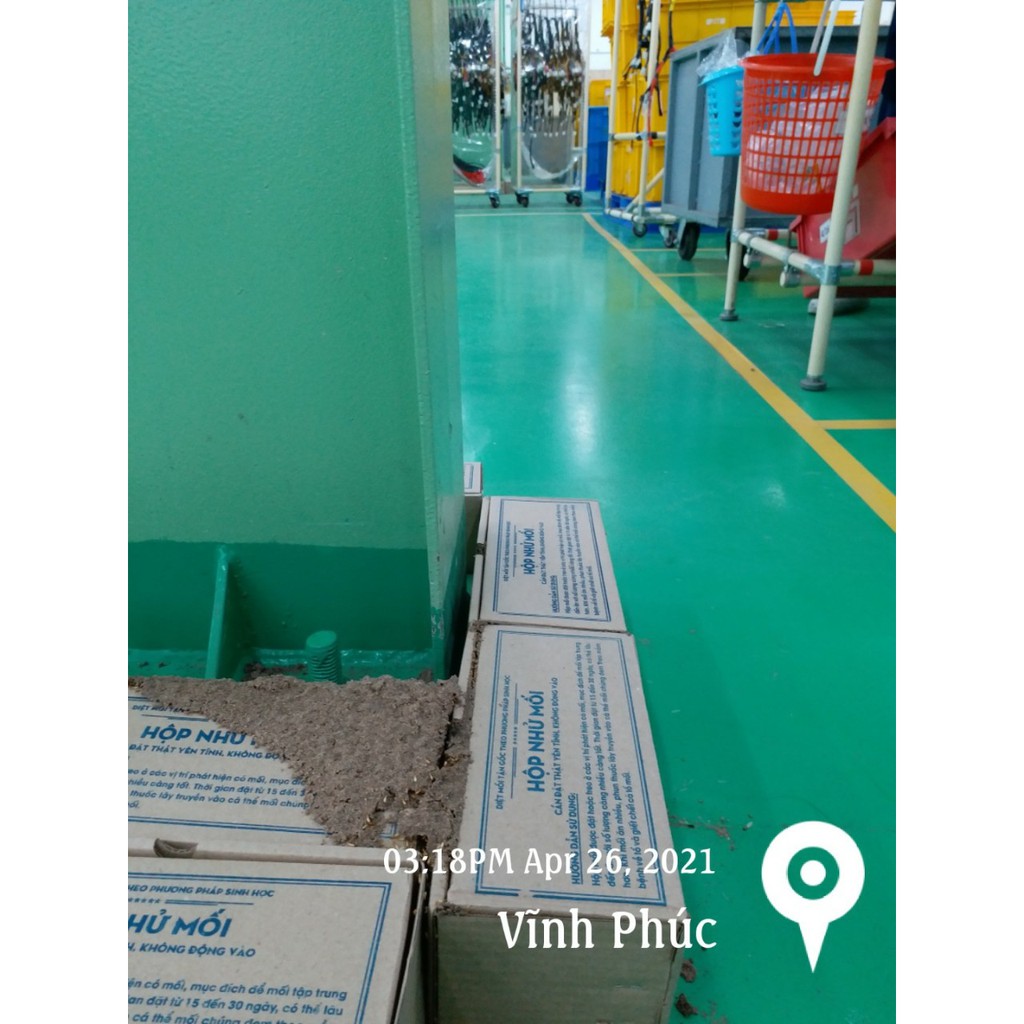 Thuốc diệt mối TẬN GỐC dạng bột PMC 90 - 100gr