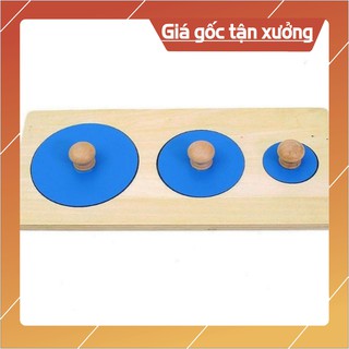 [Shopee Trợ Giá] Đồ Chơi Ghép Hình Hình Tròn To Nhỏ - Giáo Cụ Montessori