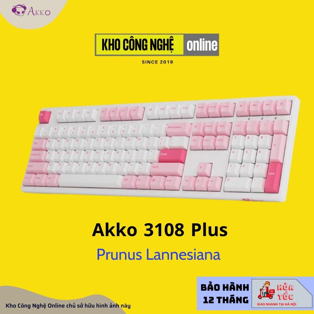 Bàn Phím Cơ Akko 3108 Plus Black &amp; Cyan | Prunus Lannesiana (Foam tiêu âm, Akko CS Switch)