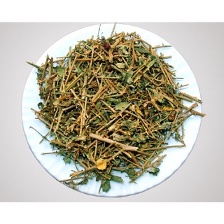 [500GRAM] CÂY CÀ GAI LEO KHÔ CHẤT LƯỢNG