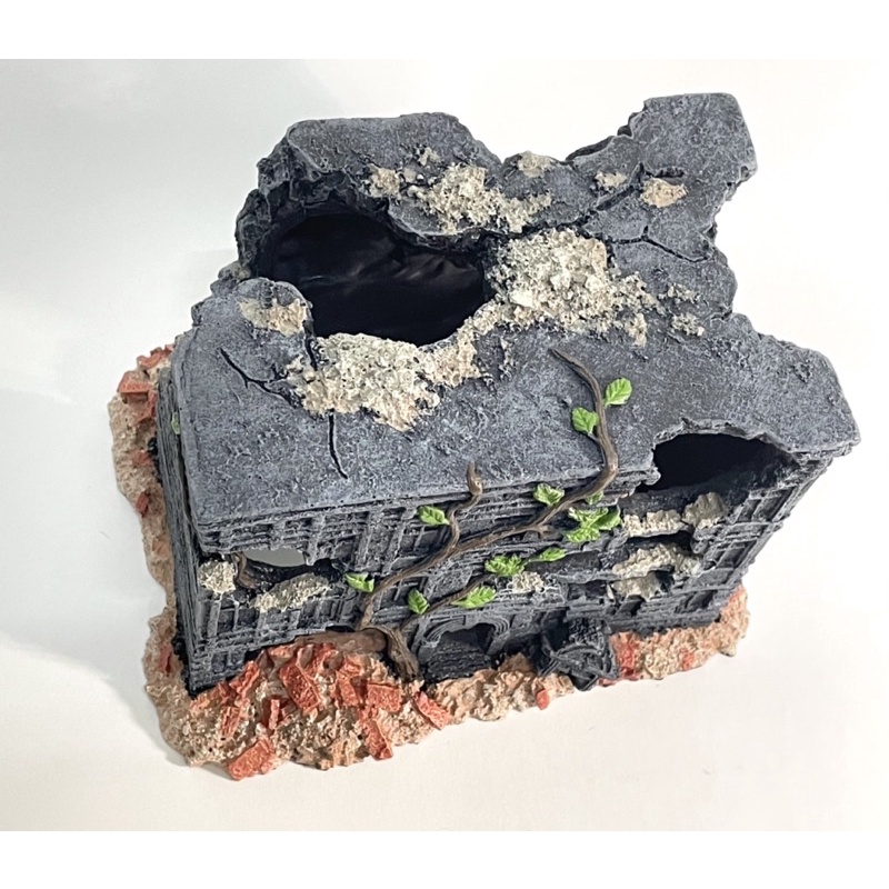 Trang Trí Hồ Cá , Thuỷ Sinh - Ngôi Nhà Hoang