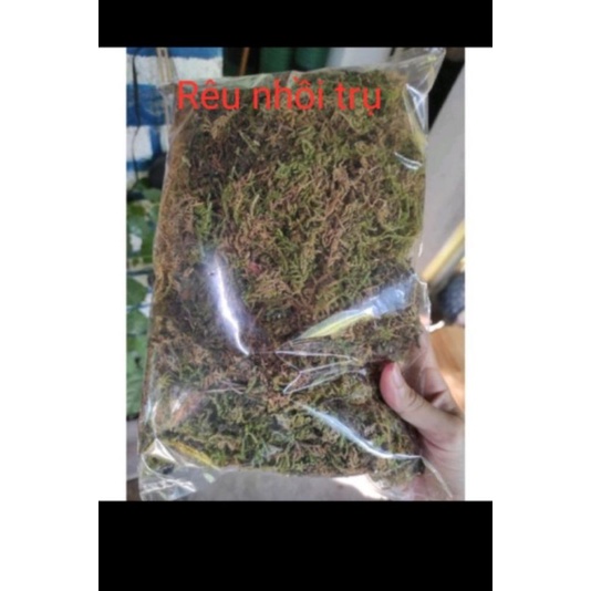 Trụ nhựa trồng cây leo