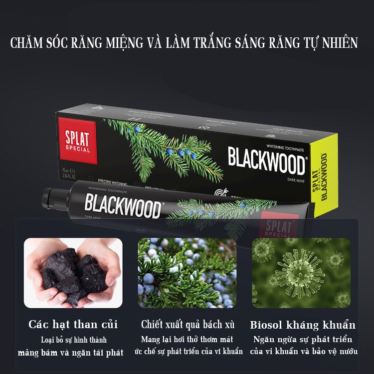 Kem Đánh Răng Than Hoạt Tính SPLAT Blackwood Làm Trắng Răng Hiệu Quả