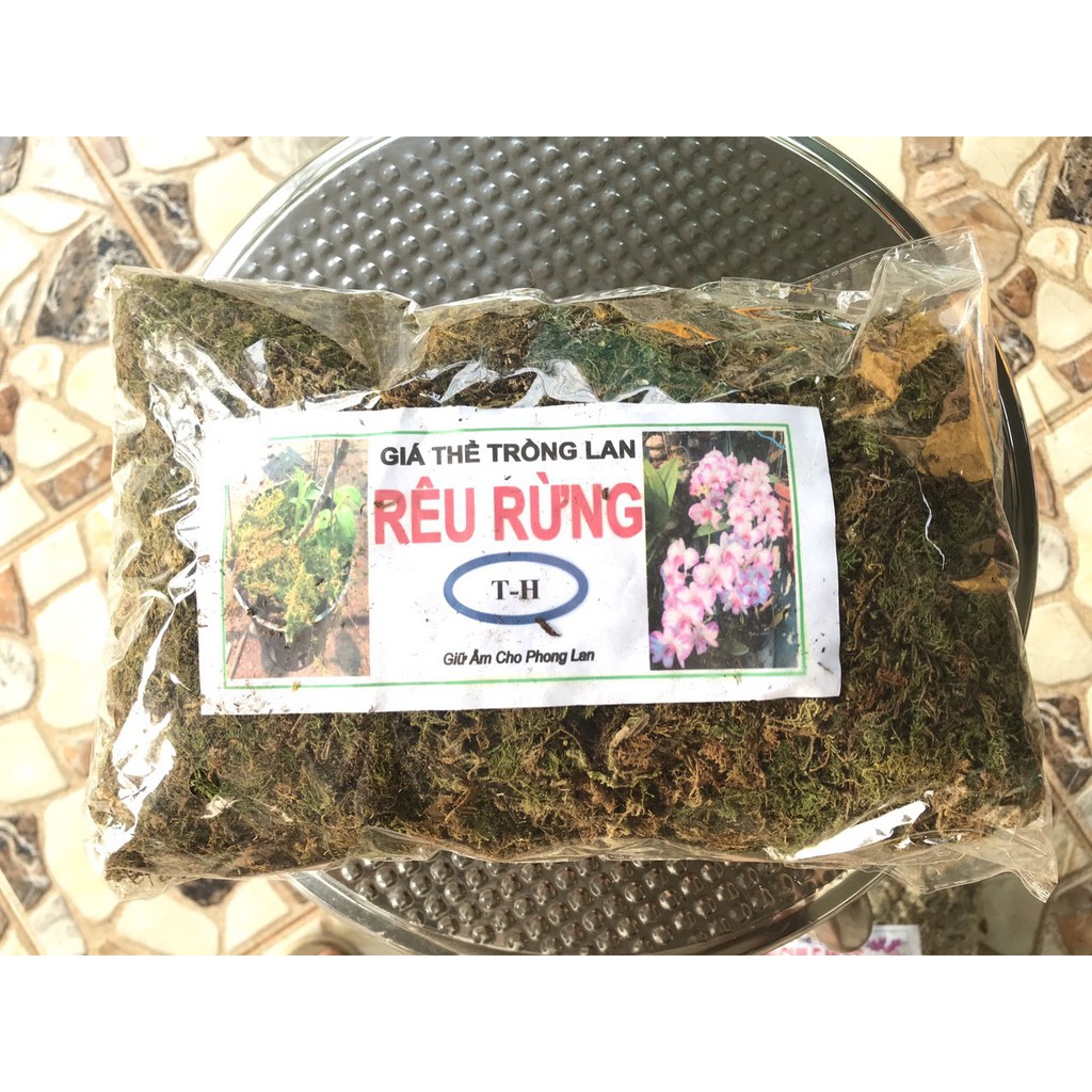 Rêu rừng trồng lan - gói 100 gram - Giá thể trồng lan rêu rừng