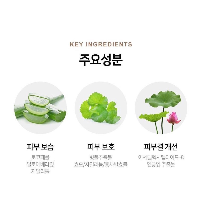 PHẤN NƯỚC BABREA TỰ NHIÊN TOÀN NĂNG (Kèm 01 lõi phụ) BABREA Natural Almighty Comfortable Cushion | BigBuy360 - bigbuy360.vn