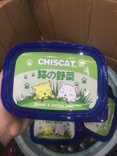 HẠT GIỐNG TRỒNG CỎ MÈO CHISCAT