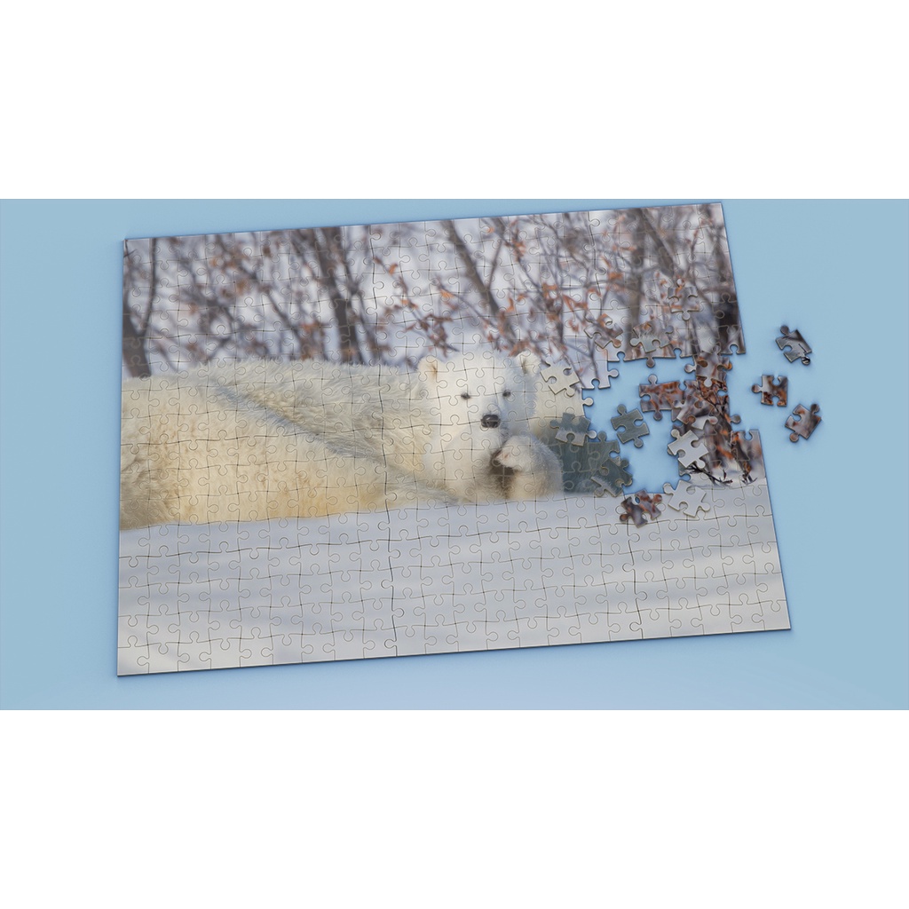 Tranh ghép hình Animal - Tranh ghép hình POLAR BEAR - Mẫu 4 - Nhận in hình tranh ghép theo yêu cầu