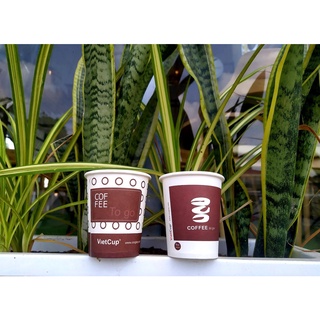 50 Cốc giấy 8oz (240ml) - Cốc cafe nóng
