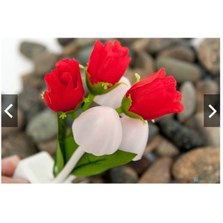 ĐÈN NGỦ CẢM ỨNG ĐỔI MÀU AVATAR