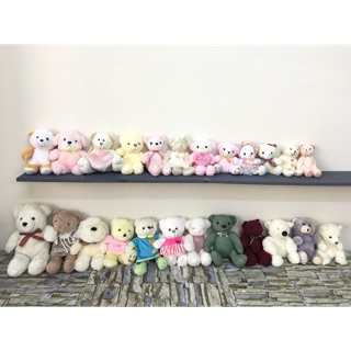 Lô gấu bông teddy 24 con