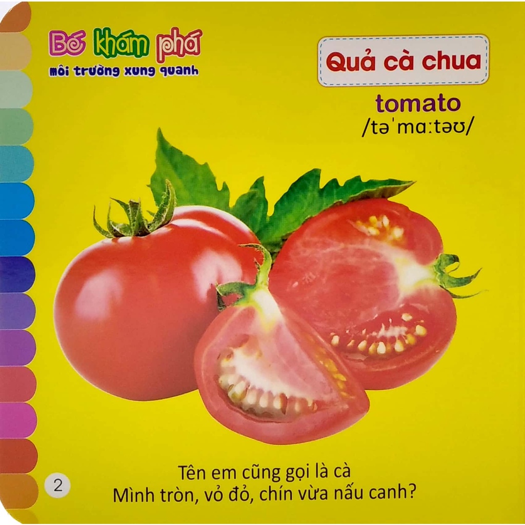 Sách Bé Khám Phá Môi Trường Xung Quanh: Rau Củ - Vegetables (Song Ngữ Việt - Anh)