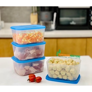 Lẻ Hộp trữ đông freezermate Tupperware 650ml (1 hộp)- Hàng chính hãng Tupperware Việt Nam phân phối