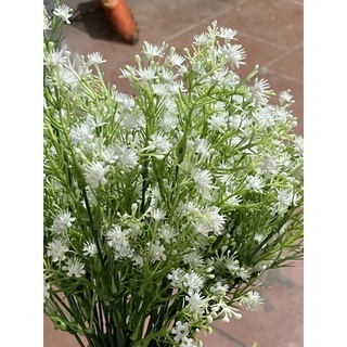 Cành điểm hoa baby 5 nhánh