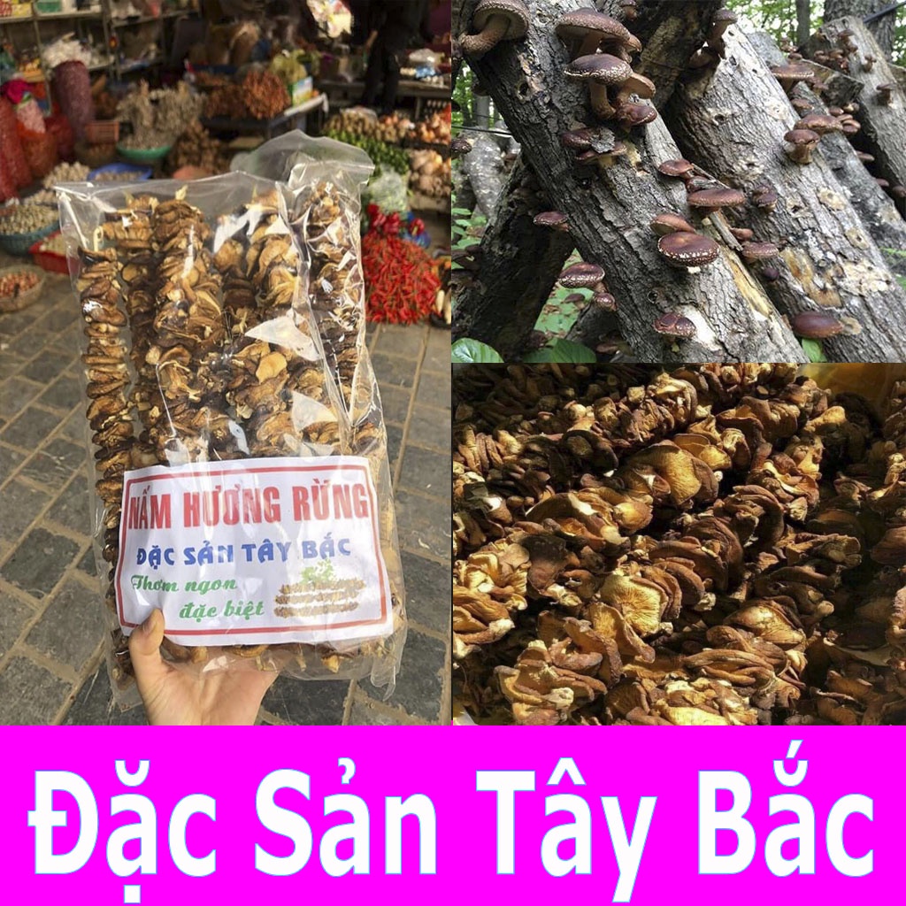 Nấm hương rừng khô Tây Bắc gói 500g hàng loại 1, nấm hương rừng  xiên que phơi khô tự nhiên thơm ngon