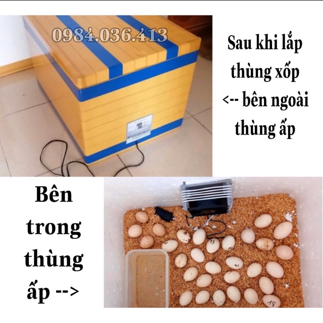 Máy ấp trứng mini Ánh Dương TẶNG ĐÈN SOI TRỨNG - máy ấp trứng gà, vịt, gia cầm - lắp vào thùng xốp