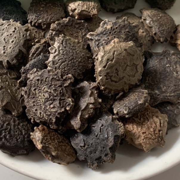 1KG Hạt Gấc Khô, Sạch, Hạt Gấc Ngâm Rượu Tốt Cho Người Bệnh Trĩ, Giảm Đau Xương Khớp