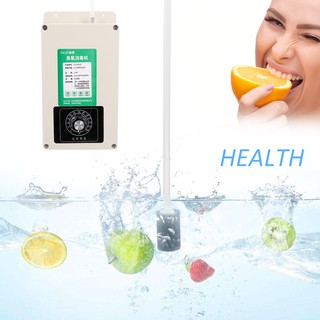 Máy Lọc Khí Ozone Đa Năng 2000mg / H