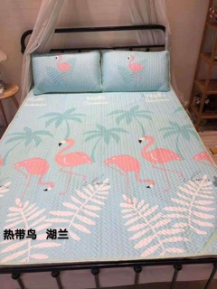 Chiếu lụa điều hoà tenced 2D