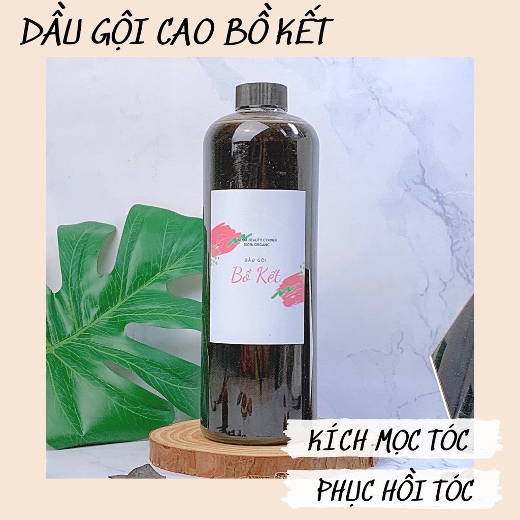 Dầu Gội Thuần Chay Bồ Kết Thuốc Bắc Giúp Kích Mọc Tóc Và Giảm Rụng Tóc - SODA Beauty Corner.