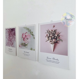 Postcard chụp hình sản phẩm