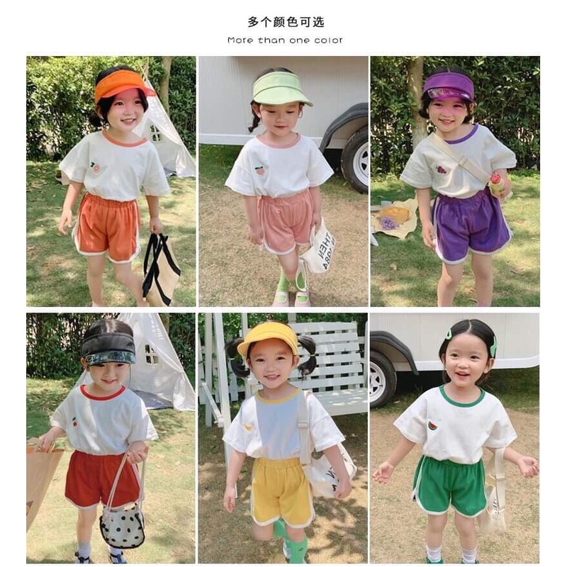 Bộ Quần Áo Trẻ Em Bé Trai - Bé Gái Thêu Quả 1- 5 tuổi