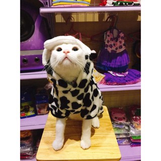 Áo Cosplay cho chó mèo