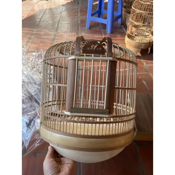 Lông chim cu gáy đủ phụ kiện