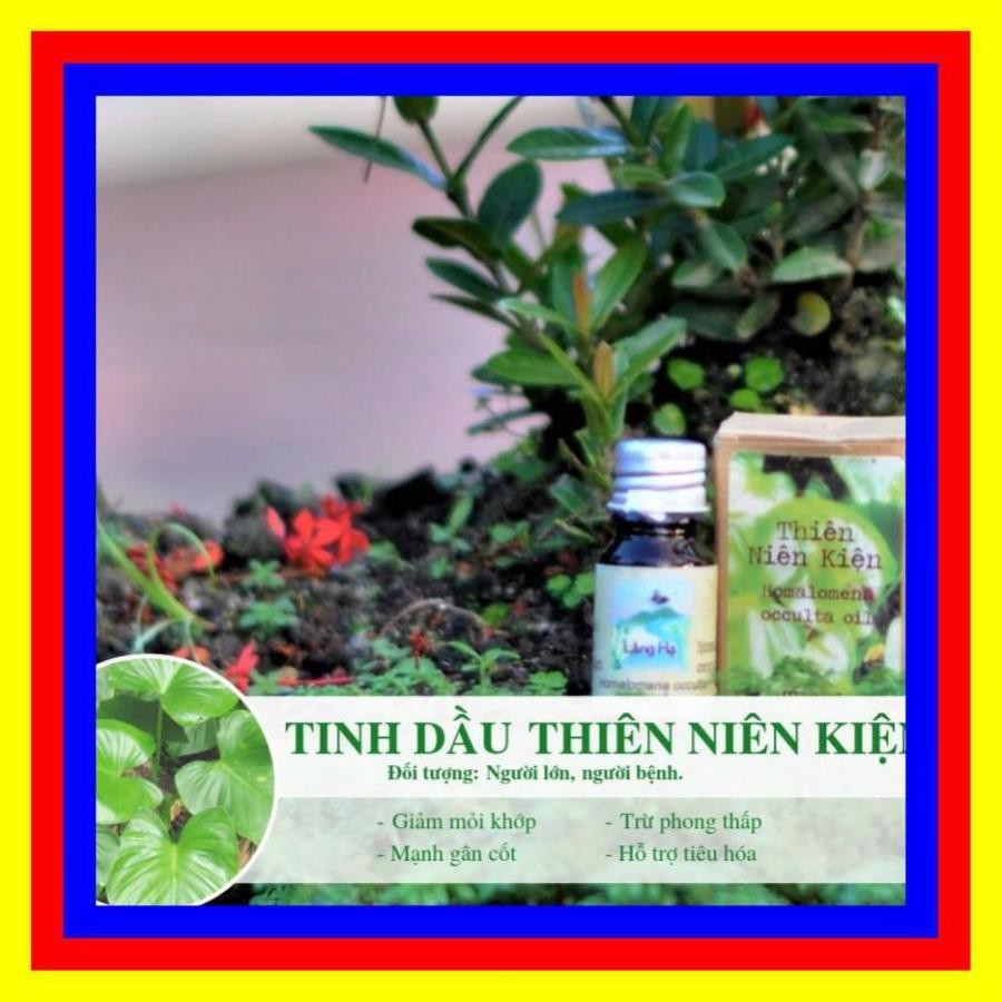 10ml Tinh Dầu Vỏ Bưởi, Sả Chanh, Thanh Trà, Tràm, Tràm Năm Gân, Thiên Niên Kiện - Làng Hạ - Tinh dầu Liên Minh Xanh