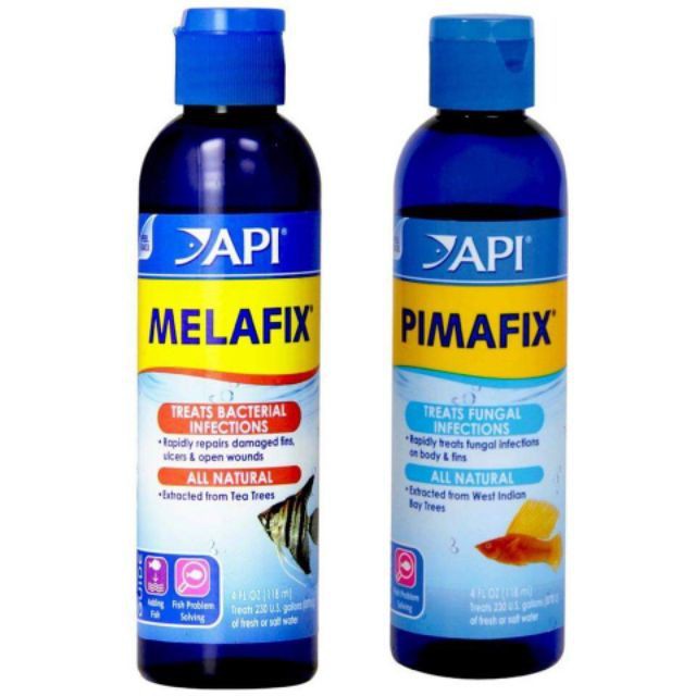 Thuốc trị Đục Mắt, Rộp Mắt Cá Rồng Melafix và Pimafix