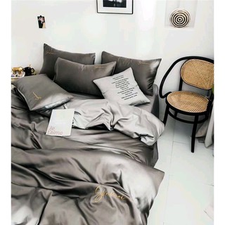 Bộ Chăn Ga GỐI LỤA TENCEL SUMOI Phối Màu