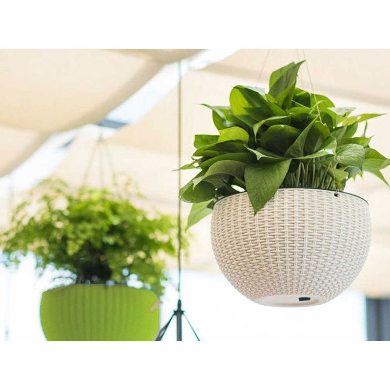 Chậu Nhựa Mây Treo/ sọc treo/ sò treo+ tặng kèm dây treo nhựa