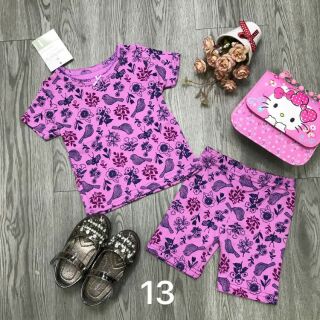 Combo bộ Carter