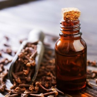 TINH DẦU NỤ ĐINH HƯƠNG (CLOVE PURE ESSENTIAL OIL)