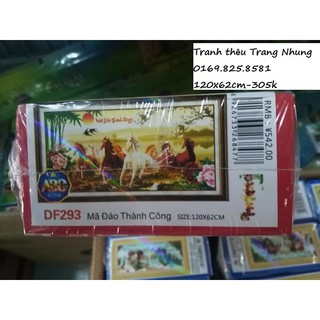 Tranh gắn đá mã đáo thành công df293 120x62cm