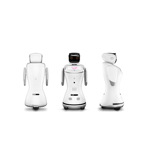 Robot Sanbot ELF