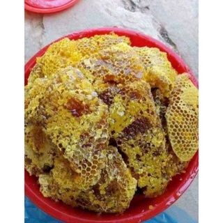 Mật ong rừng Gia Lai nguyên chất thơm ngon (1 lít )