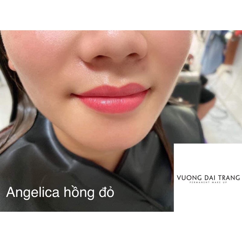 Mực ANGELICA chiết 3,3ml.