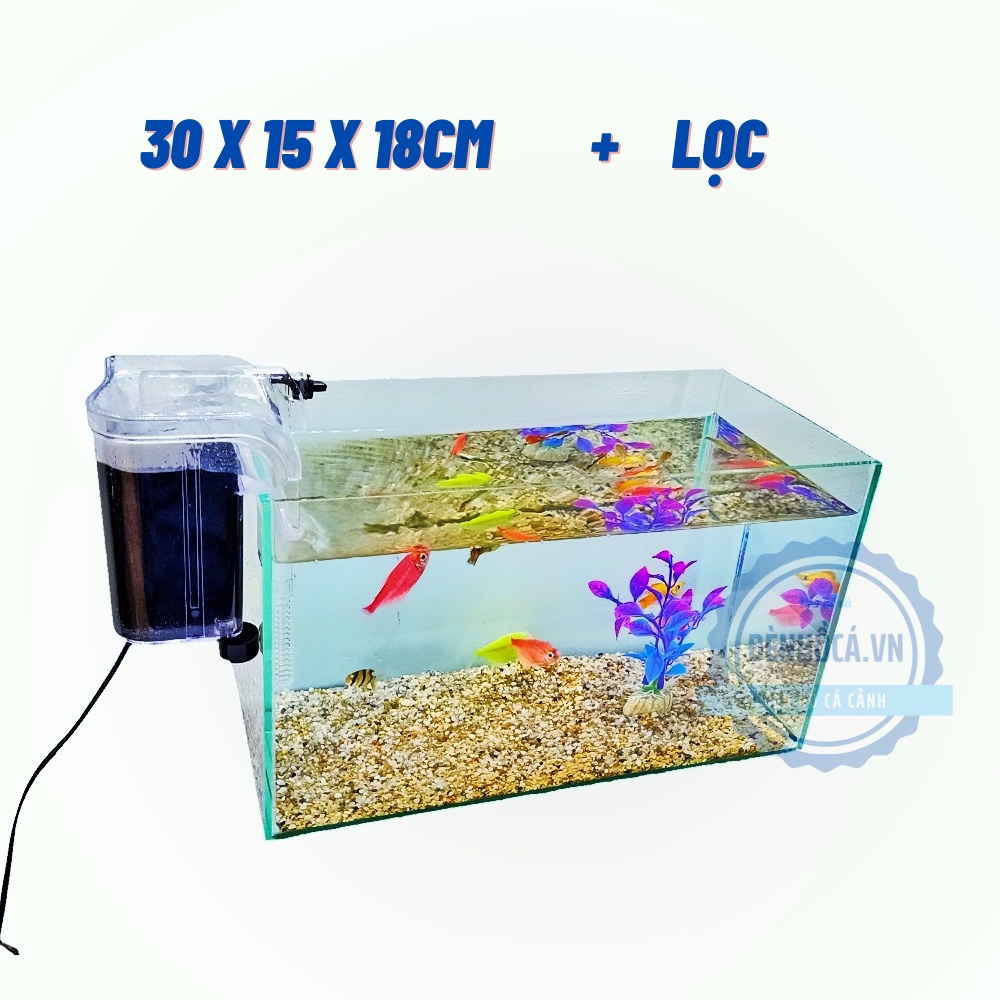 Bể cá mini [ D30cm x R15cm x C18cm ] để bàn làm việc tặng kèm phụ kiện