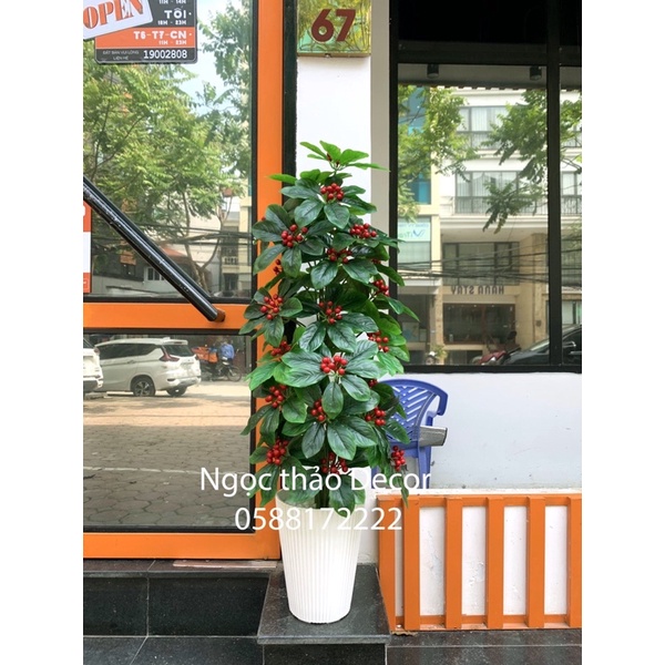 Cây kim ngân lượng giả - Cây giả trang trí