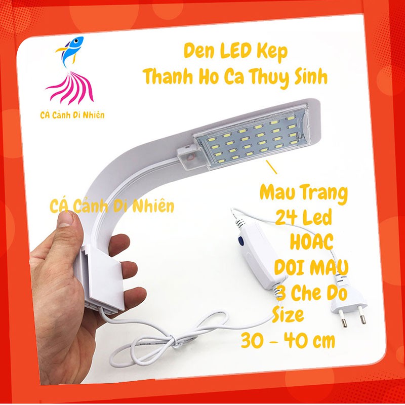 Đèn LED màu trắng, đổi màu kẹp thành hồ cá thủy sinh size 30-40cm M-280 - Đèn hồ cá mini, để bàn văn phòng